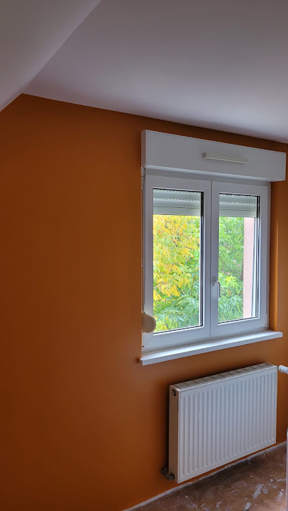Néo Vif Rénovation, Travaux Généraux à Strasbourg