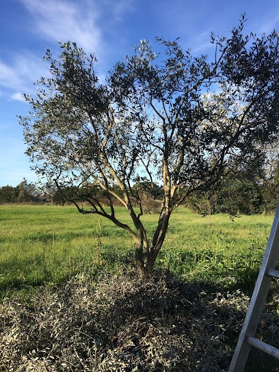 Gomot, Artisan en Travaux Généraux et Rénovation à Puget-Ville
