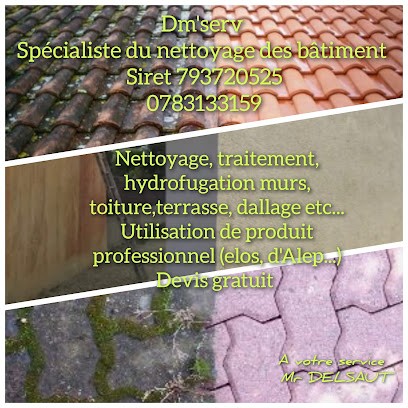 Delsaut Multi'Serv, Artisan en Travaux Généraux et Rénovation à Saint-Denis-de-Pile