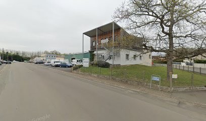 ALTI RENOV, Artisan en Travaux Généraux et Rénovation à Saint-Pavace