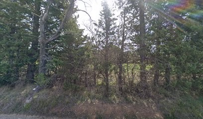 CONSTANS Travaux Publics (SARL), Artisan en Travaux Généraux et Rénovation à Villecroze