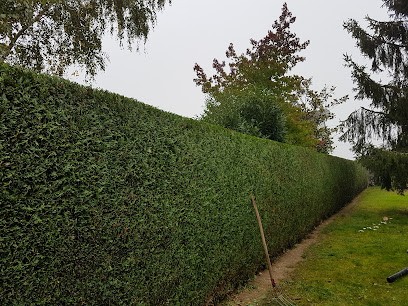 Lepinay Mathieu, Artisan en Travaux Généraux et Rénovation à Jutigny
