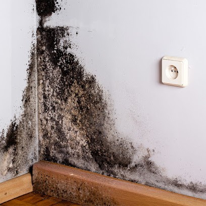 Neovivo, Artisan en Travaux Généraux et Rénovation à Plabennec