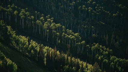 Maisons Bois et Travaux, Artisan en Travaux Généraux et Rénovation à Saint-Pantaléon-de-Larche