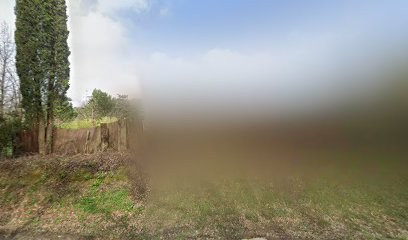 SARL MICHEL JANY, Artisan en Travaux Généraux et Rénovation à Vieille-Toulouse