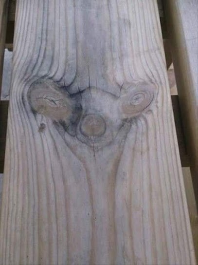 Sene Services, Artisan en Travaux Généraux et Rénovation à Séné