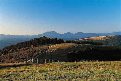 Furiga John Maître d'œuvre, Artisan en Travaux Généraux et Rénovation à Schirmeck